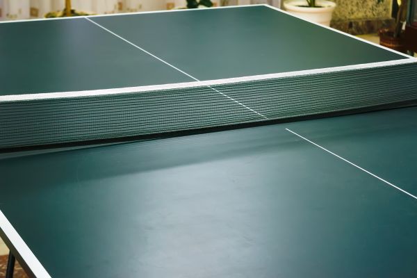 Ping Pong Table Assembly in Shingle Springs